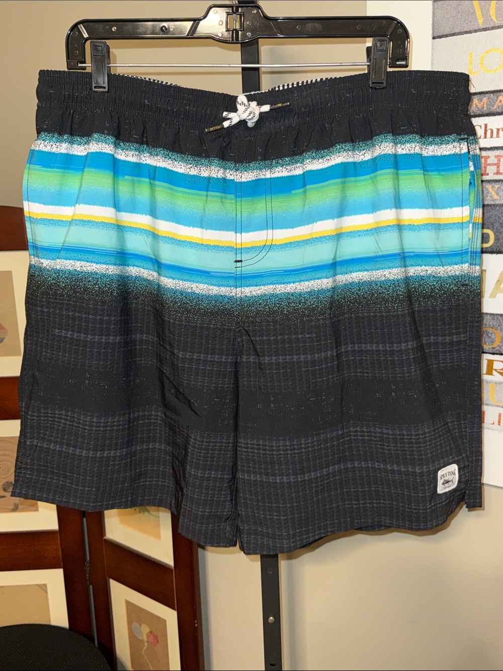 Spicy Tuna Men's Black Swim Trunks with Blue & Teal Stripe Accent
